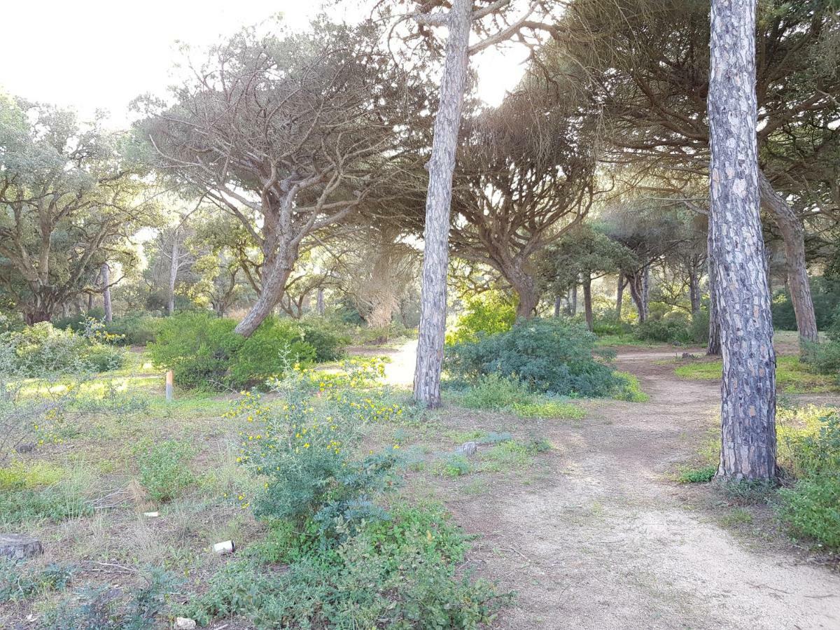 Apartamento Pinar Del Atlantico-La Barrosa 奇克拉纳－德拉弗龙特拉 外观 照片